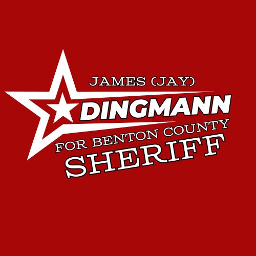 dingmannforsheriff.com